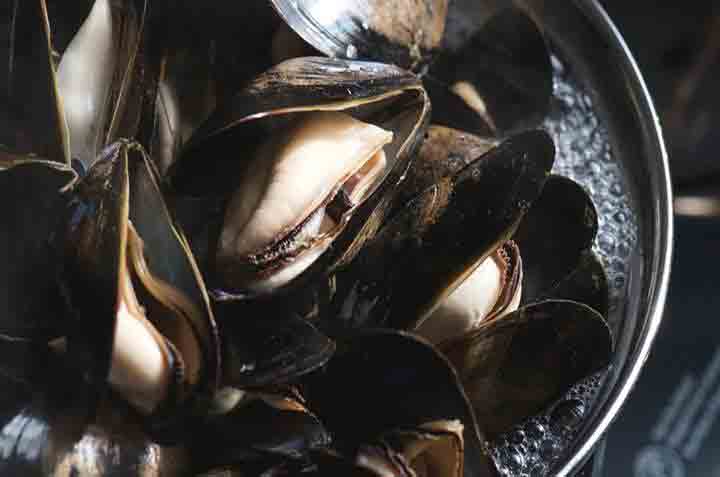 Bangs Island Mussels